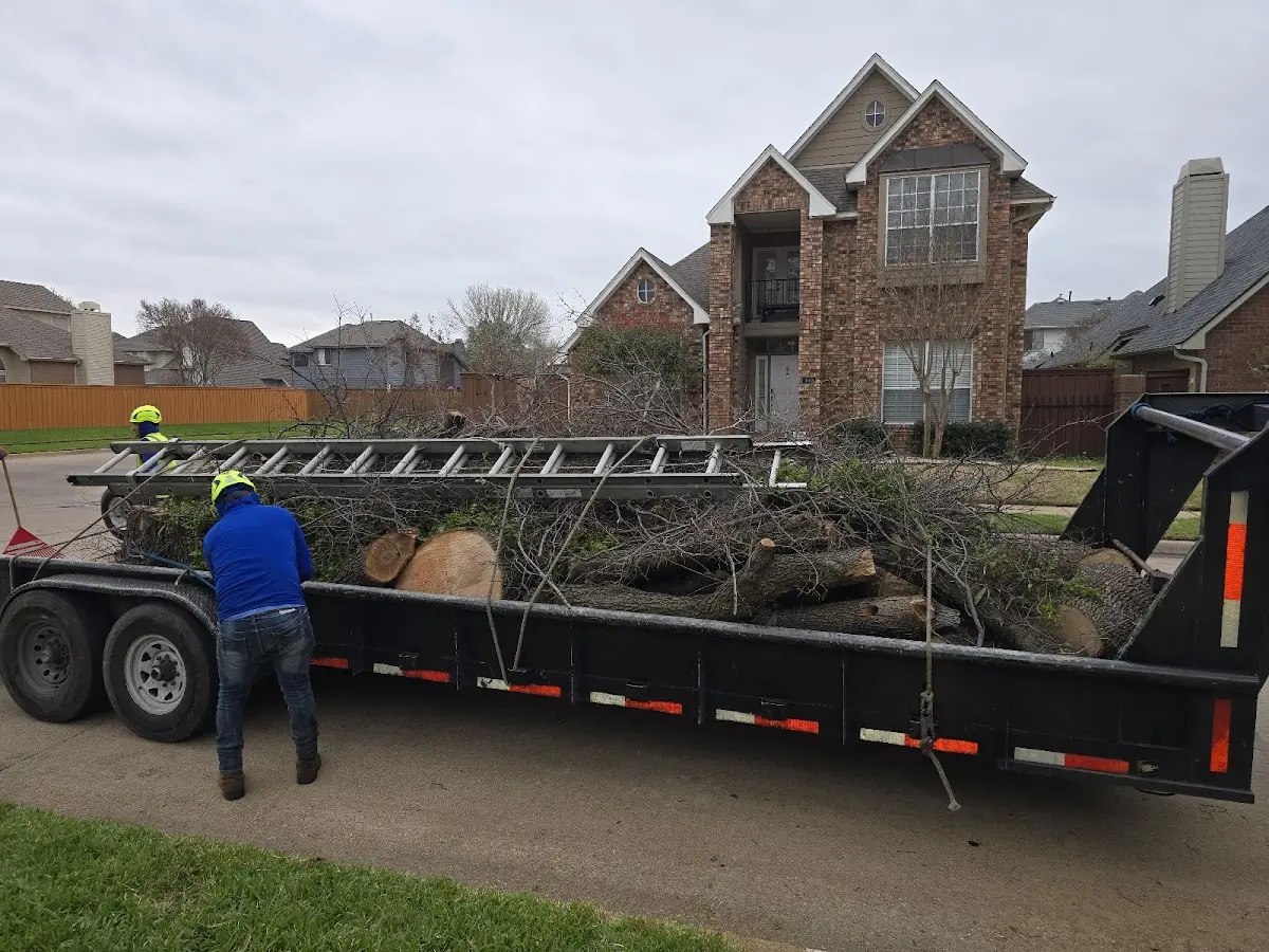 Expert Tree Fertilization with proper safety equipment in Wilmot